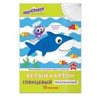 Белый картон 10л А4 мелованный в папке ЮНЛАНДИЯ 1/50