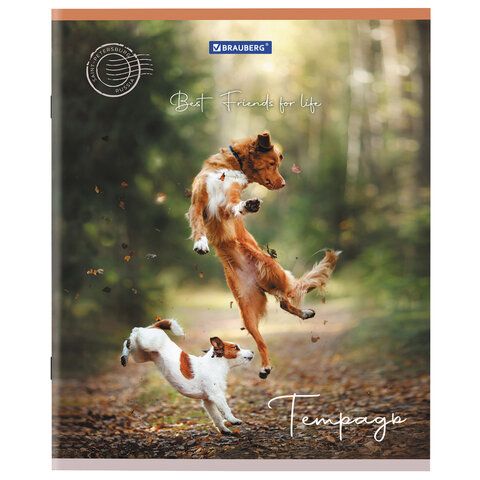 Тетрадь 48л А5 клетка Best Friends BRAUBERG 10/100