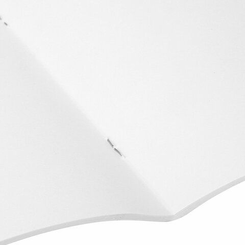 Альбом для рисования 20л А4 на скрепке Саванна ПИФАГОР 1/50