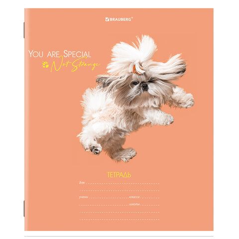 Тетрадь 18л линия обложка картон СОБАЧКИ BRAUBERG 1/20/200