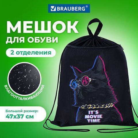 Мешок для обуви 47х37см с петлей карман на молнии Movie time BRAUBERG