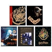 Тетрадь 48л А5 клетка Гарри Поттер тиснение 5 дизайнов Centrum 1/10/80