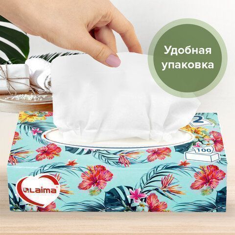 Салфетки косметические 2-сл в короб 20х20см (100шт) в картонном боксе Лайма 1/35 (клиент)