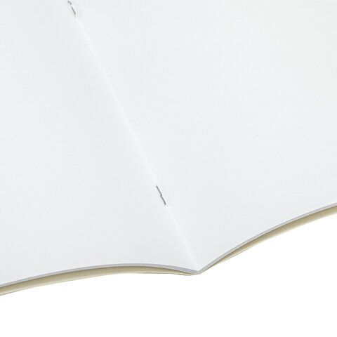 Альбом для рисования 20л А4 скоба, обложка картон Автомир BRAUBERG 1/20/60