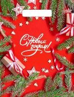 НГ Пакет с вырубной ручкой (23х30)-30 Цвет Нового года 100/3000