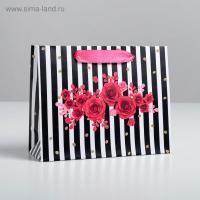 Пакет подарочный бумажный (22x17,5x8) ламинир Gifts 1/5/750