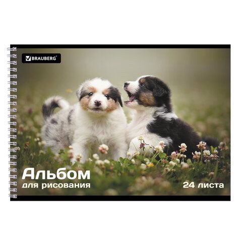 Альбом для рисования 24л А4 гребень обложка картон BRAUBERG Питомцы 1/10/40