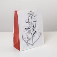 Пакет подарочный бумажный (18х23х8) ламинир Enjoy 1/1