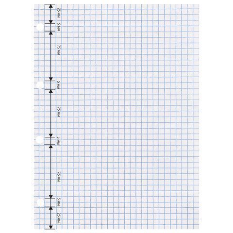 Сменный блок к тетради на кольцах 80л А4 клетка BRAUBERG ЭКО 1/30