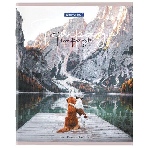 Тетрадь 48л А5 клетка Best Friends BRAUBERG 10/100